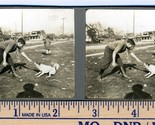 Man Playing with Small Dog &amp; Small Dog  1930&#39;s Two Original Stereoviews - $24.72