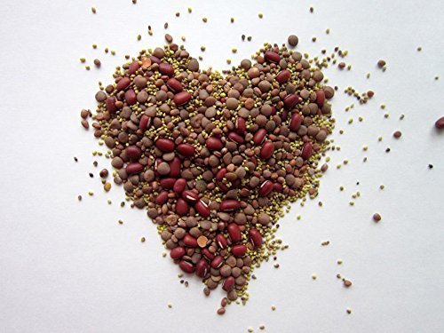 Valentine Day Certified Organic Non-gmo Sprouting Seeds Mix Certified Organic Re - $18.99