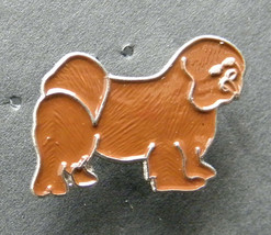 Lhasa Apso Dog Lapel Pin Badge 3/4 Inch - £4.29 GBP