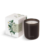 Sprig by Kohler  Aromatherapy Candle, Relax (Chamomile &amp; Green Tea), 8 Oz  - $644.37 MXN