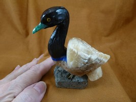 (y-swa-502) white tan black onyx blue Swan carving stone gemstone PERU s... - $28.04