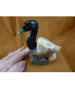 (y-swa-502) white tan black onyx blue Swan carving stone gemstone PERU s... - £22.04 GBP