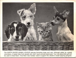 c1980 North Shore Animal League NY Donation Invitation For A Friend Postcard  - £7.18 GBP