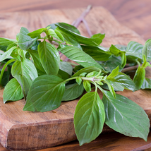 Thai Basil 20 PCS Seeds - $8.99