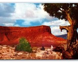 Red Cliffs Monument Valley Arizona AZ UNP Unused Chrome Postcard Z3 - £2.33 GBP