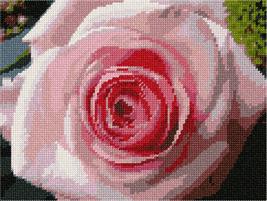 Pepita Needlepoint kit: Pink Rose, 9&quot; x 7&quot; - £72.76 GBP