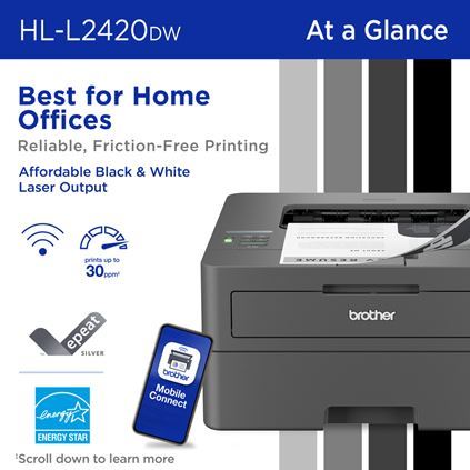 Brother HL L2420DW Laser Printer with WiFi Duplex   TN730  TN760