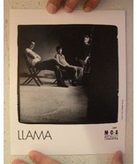 Llama Press Kit Photo Band Shot - $37.81 CAD