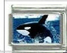 Whale #2 Wholesale Italian Charm 9MM - £11.81 GBP