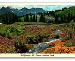 Wildflowers Mt Rainier National Park Washington WA UNP Chrome Postcard S25 - $2.92