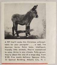 1954 Print Ad Real Live Mexican Burro Spencer Gifts Atlantic City,New Jersey - £6.73 GBP