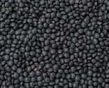 Black lentils from above 400x400 thumb155 crop