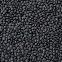 Organic Black Lentil 100 Seeds Non-GMO - Great for Sprouts! - $6.78