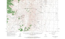 Bottle Creek Quadrangle Nevada 1961 Topo Map Vintage USGS 15 Minute Topo... - £13.29 GBP