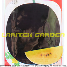 Big Super Black Skin Yellow Oval Sweet Organic Watermelon Seeds, Original Pack,  - £5.46 GBP