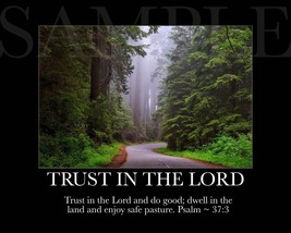 TRUST IN THE LORD Inspirational Picture (8X10) New Fine Art Print Photo ... - $6.76