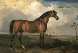 Giclee Oil Painting Wall horse HD - £7.58 GBP+