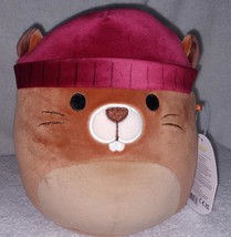 Squishmallows Chip the Beaver 8&quot; NWT - £12.60 GBP