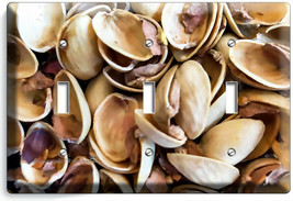 Cracked Pistachio Nut Shells 3 Gang Light Switch Plate Outlet Kitchen Shop Decor - £13.37 GBP