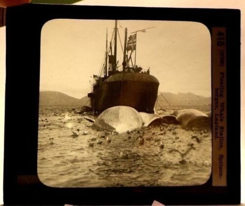 Primary image for Magic Lantern Glass Slide Floating Whaling Station Spitzenbergen Lapland 1870s