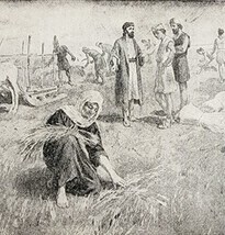 1906 Ruth In the Field of Boaz Print Story Of The Bible 8.25 X 5.75&quot; Antique Art - £13.98 GBP