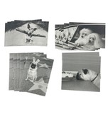 Graphique Blank Note Cards Cute Dogs Poodles Pugs and Jack Russell Terrier - £14.60 GBP