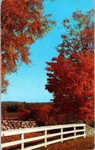 Rural Scene with Blaze of Autumn Foliage New York Postcard - £5.49 GBP