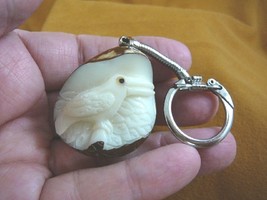 (TNE-BIR-TO-244-D) Toucan tropical bird TAGUA NUT keychain carving I lov... - £12.85 GBP