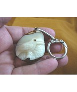 (TNE-BIR-TO-244-D) Toucan tropical bird TAGUA NUT keychain carving I lov... - $303.83 MXN