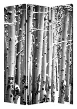 48" X 72" Gray And White Wood Canvas Birch  Screen - $10,369.32 MXN