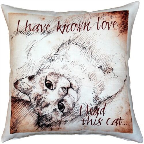 Pillow Decor - I Have Known Love Cat Pillow 17x17 (LE1-0057-01-17) - £39.92 GBP