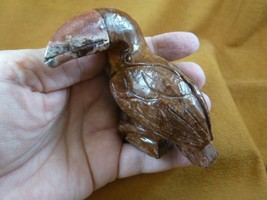 (y-bir-to-401) little red Toucan tropical bird soapstone carving love to... - $17.53