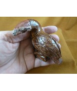 (y-bir-to-401) little red Toucan tropical bird soapstone carving love to... - $330.40 MXN