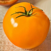 Jubilee Tomato Garden Seeds Garden Seed Grown To Organic Standards Garde... - £12.21 GBP