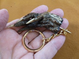 G120-113) 2-1/4&quot; long Gator FOOT Keychain PAW ALLIGATOR TAXIDERMY med cl... - $14.01