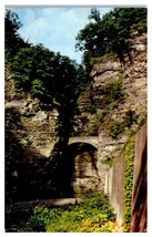 Sentry Bridge Watkins Glen State Park New York Unused Postcard - £30.91 GBP