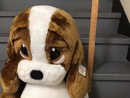 Item image 11