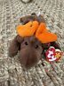 CHOCOLATE -The Moose ✳︎RARE ERRORS✳︎ - Ty Beanie Babies  1993 Item image 15