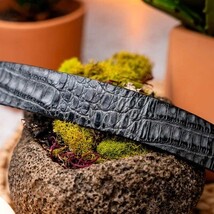 Riccardo Genuine Exotic Caiman Fuscus-belly Belt Gray image 4