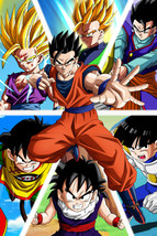 Evolution of Gohan Poster | Dragon Ball Super | DBZ | NEW | USA - $19.99
