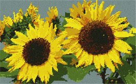 Pepita Needlepoint Canvas: Sunflowers Side by Side, 13&quot; x 8&quot; - £67.73 GBP+