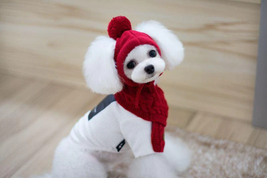 Cozy Canine Winter Ensemble: Dog Hat, Bib, Suit, And Scarf Set - £17.28 GBP