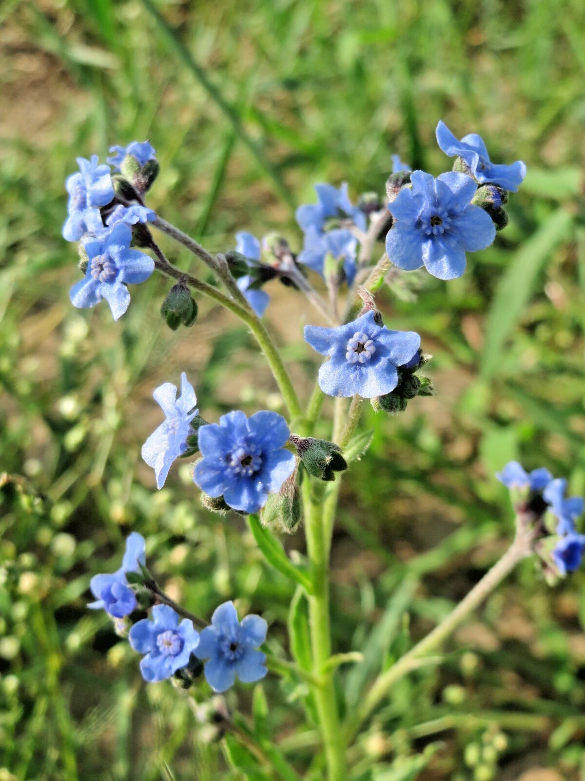 Item image 1