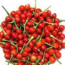 Wiri Wiri Hot Pepper Seeds 25 Seed Package - £5.21 GBP