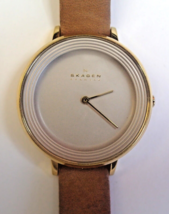 SKAGEN DENMARK SKW2215 Quartz All SS Unisex Wristwatch - $39.11