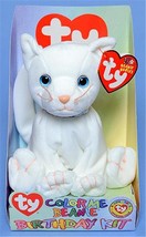 Color Me Beanie Cat Birthday BBOC Kit Ty Beanie Baby MWMT Collectible Retired - £15.77 GBP