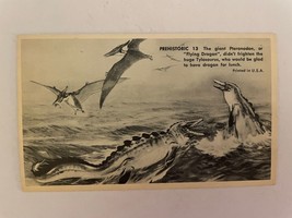 Prehistoric 13 Pteranodon Dinosaur Flying Dragon Hobby Trading Advertisi... - £15.63 GBP