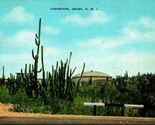 Landscape View Aruba Netherlands West Indies NWI UNP Linen Postcard B10 - £5.41 GBP