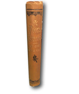 1879 First Edition A FOOL&#39;S ERRAND *KKK*Reconstruction*Slavery*Ku Klux Klan - $271.65 CAD