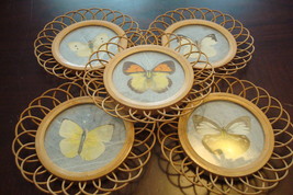 Coasters wood and glass decorated with different butterflies on glass[60c] - $24.75